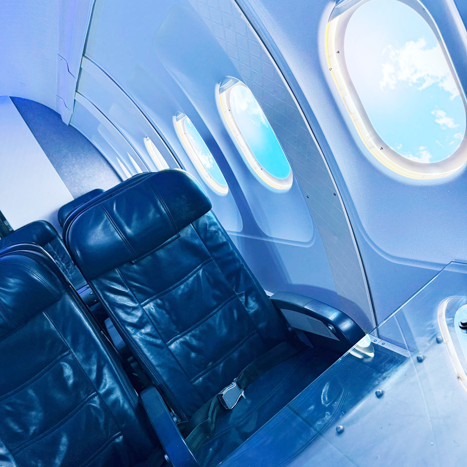 Area 51 Coffee - The Plane Room